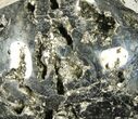 Polished Pyrite Skull With Pyritohedral Crystals #96331-1